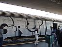 481-graffiti-train.JPG