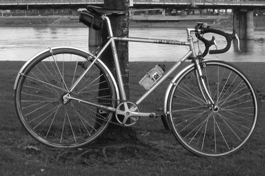 Fixie Silver