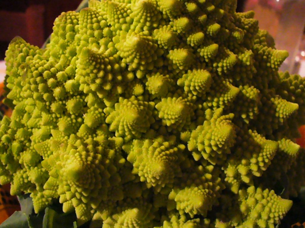 465_romanesco.jpg