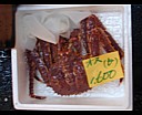 1437tsukiji.jpg